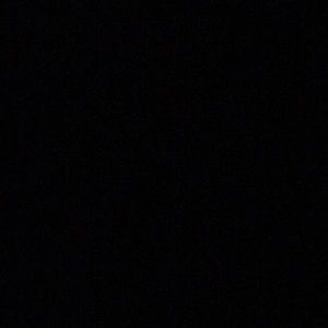 Meet your Posher, Sophia